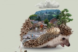 Semaine sociale 2025 : Le MOC face aux transformations sociales : Pour un futur désirable, Habiter la terre autrement hrisson sans titre